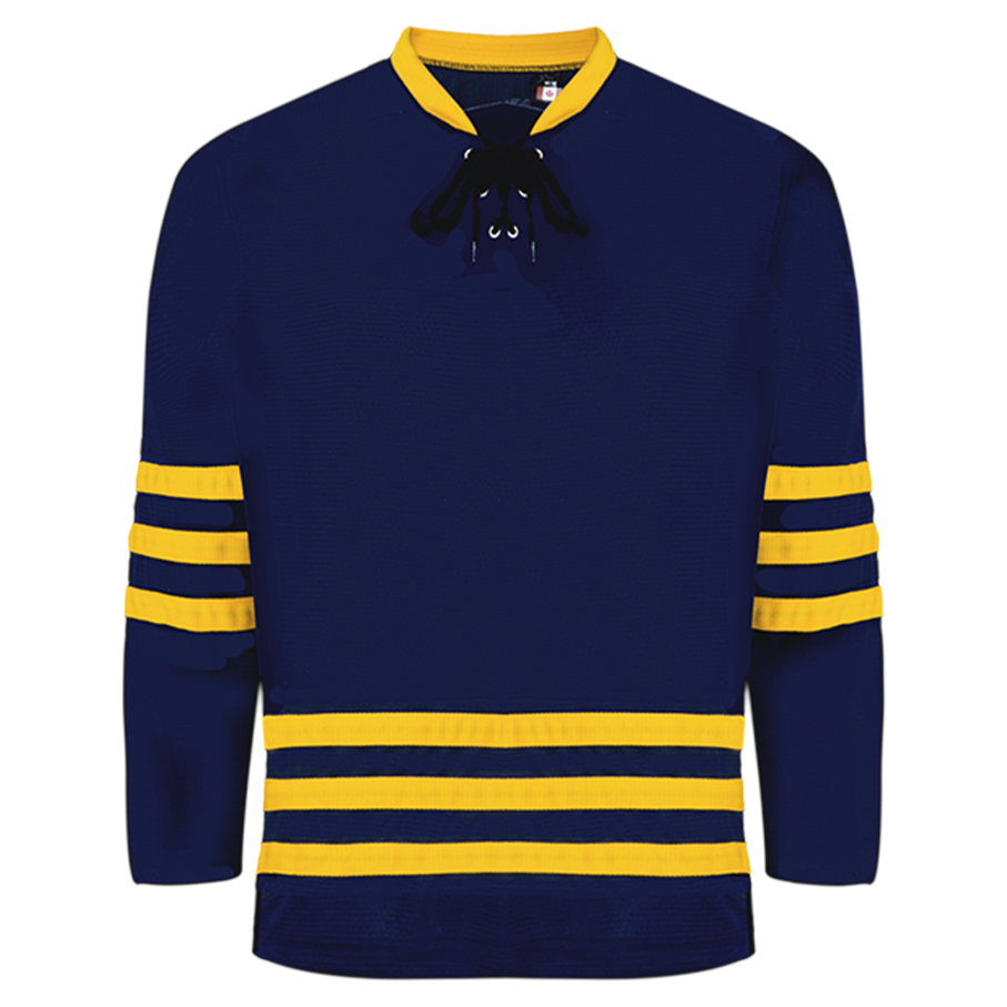Michigan Navy